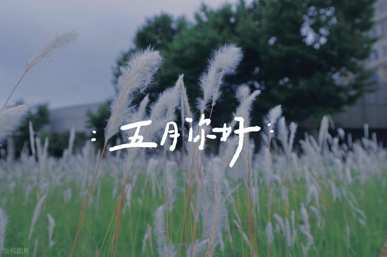 高铁票在哪个平台买最合适？清明五一实测后我有了答案