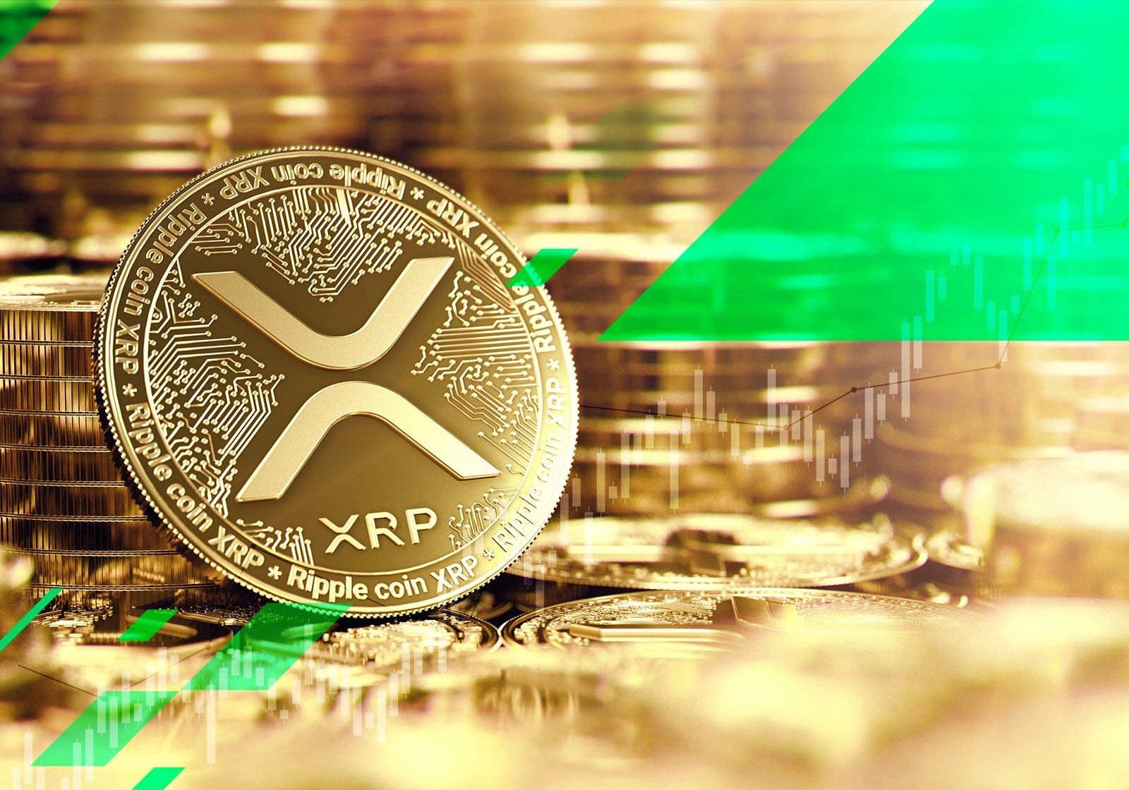 包含xrp持币地址数哪里查得到的词条