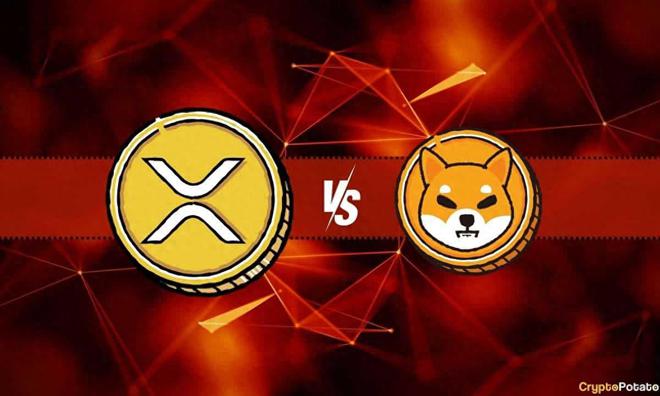xrp全称(xrp瑞波币)