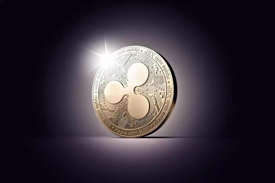 xrp投资合伙人(合伙人app投资3499)