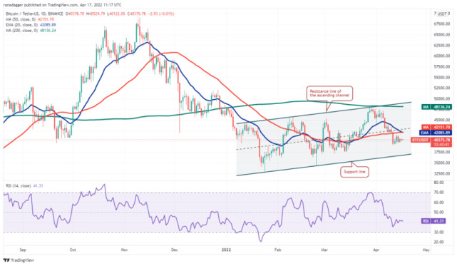 link和xrp的简单介绍