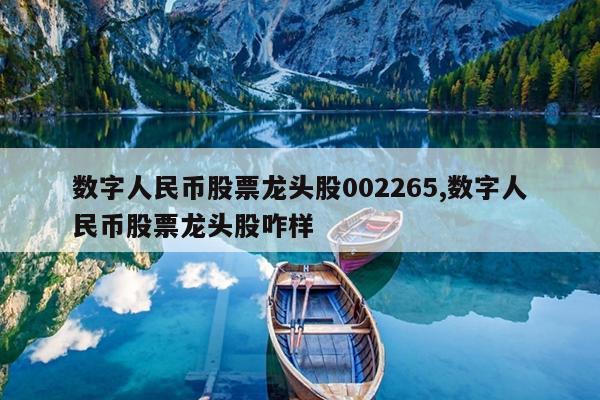 数字货币股票龙头股有哪些(数字货币股票龙头股有哪些300077)