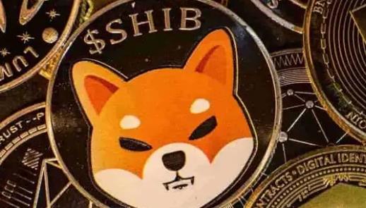 屎币最新价格(屎币最新价格 今日行情走势)