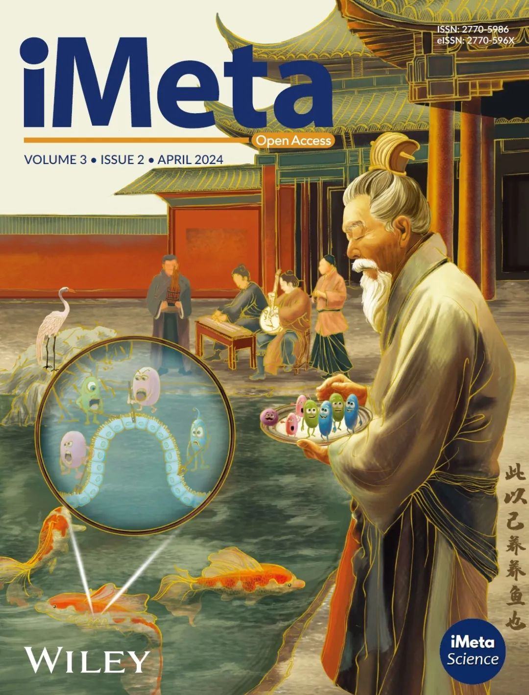 META(meta股票)