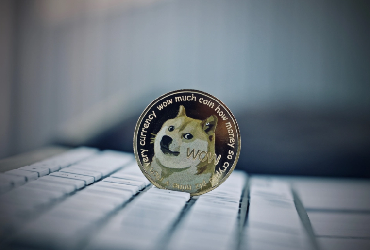 DOGE币(中国唯一合法数字货币)