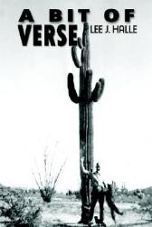 VERSE(verse翻译)