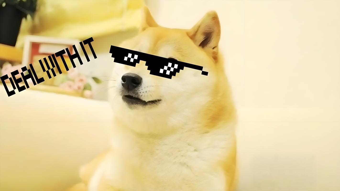 DOGECOIN(dogecoin挖矿手机版)
