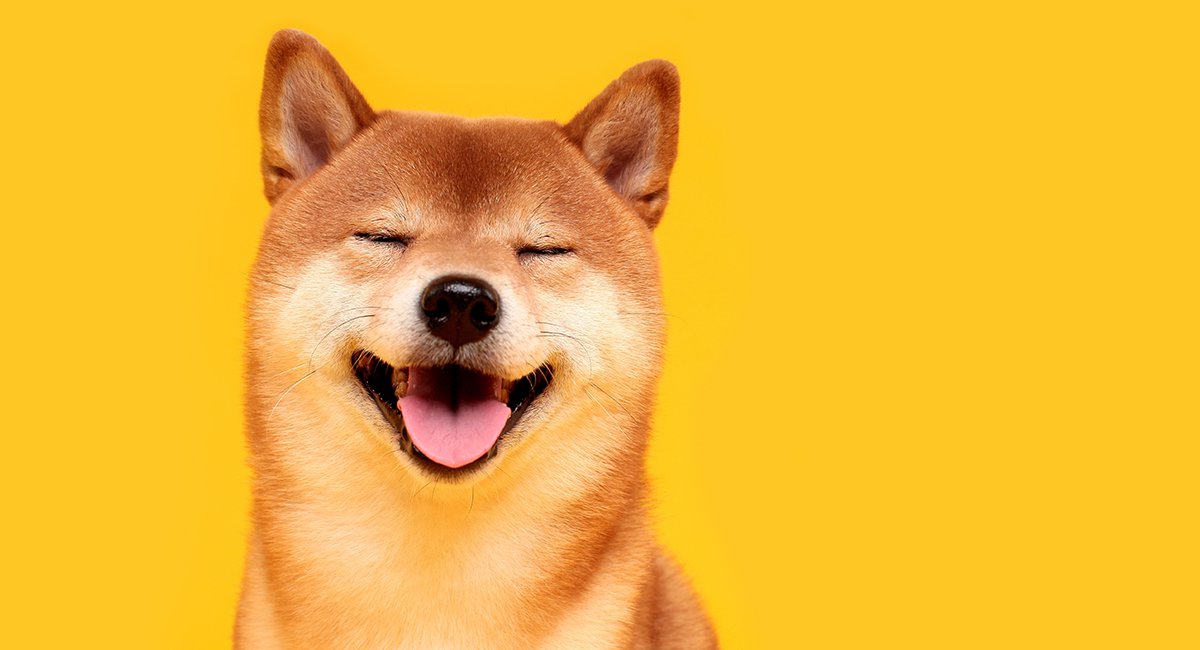 DOGECOIN(dogecoin币最新价格)