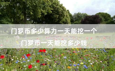 门罗币(门罗币兑换人民币)